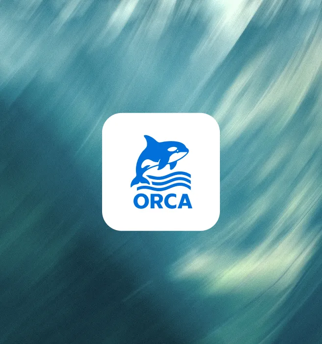 Orca Agent Engine