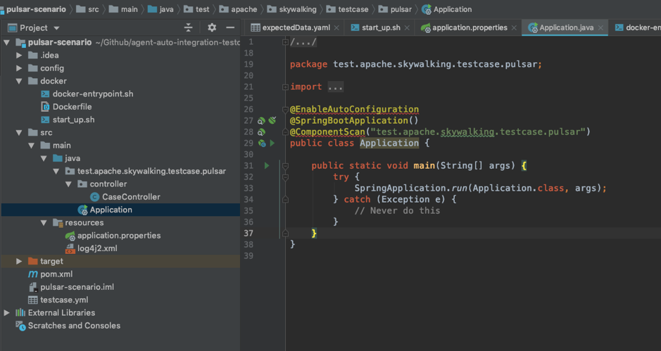 developer interface to show how to Import the project pulsar-scenario