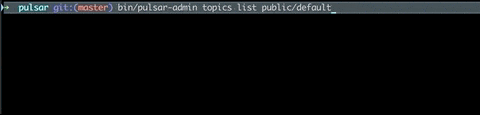 pulsar-admin-list-non-partitioned-topics